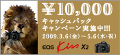 20090306-eoskiss-cashback.jpg